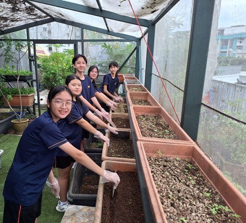 Work Attachment at Orchid Park Community Garden